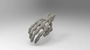 Education model of structure of the human hand