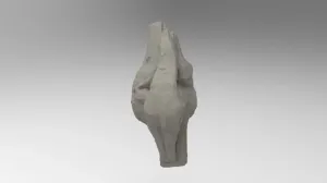 Education model of knee