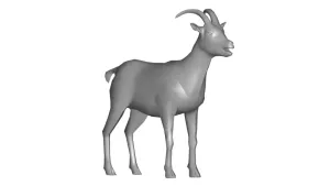 goat 3d model