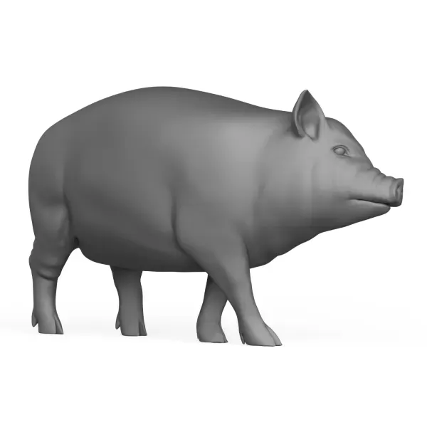 3D Printable Pig Standing Pose — Фото 5 из 5