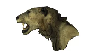 Lion Head