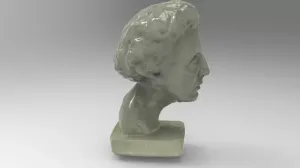 Education model of half skull half face