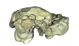 Detail from sculpture of Dionysus