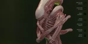 Alien Xenomorph 3Dprint model STL file