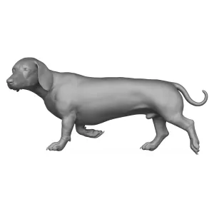 Dachshund Dog 3D Print Model