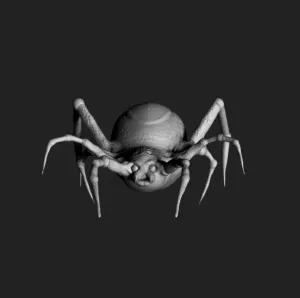 Spider