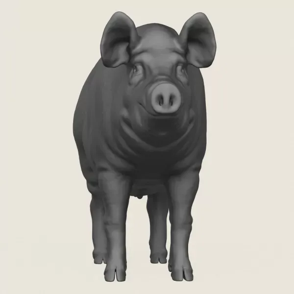 Pig Print Ready 3D Model — Фото 2 из 5