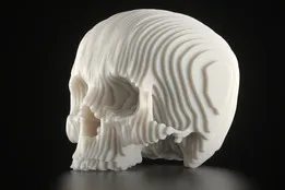 Solid Part Skull
