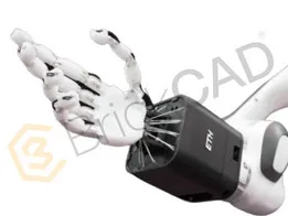Robotic Hand