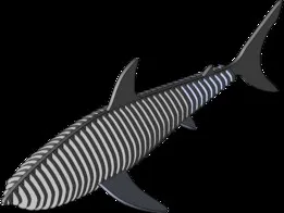 Sheet metal shark sac köpek balığı
