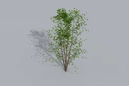Низкополигональные 3D-модели