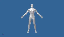 ADAM Human Figure Dummy