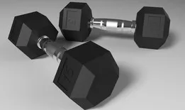15lb dumbbells