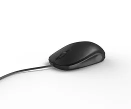 computer mouse