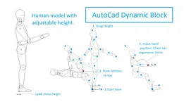 Adjustable Human Model Dynamic Block with ergonomics limits