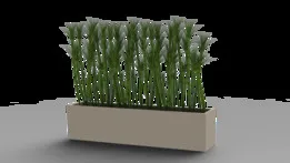 Plant pot