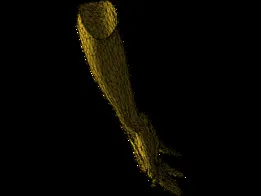 Scanned 3D Female Hand