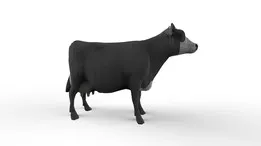 3d cow