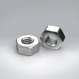 M6 Hex Nut