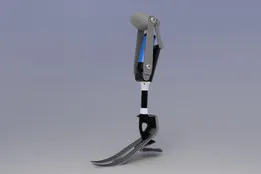 Prosthetic leg model