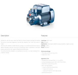 Pedrollo PKM 60 Water Pump