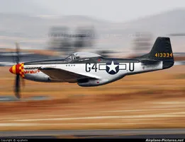 Mustang Airplane Keychain