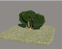 Shrub model, 0.6m