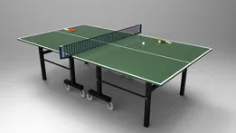 Table Tennis (Ping Pong) Table