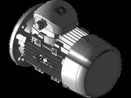 MOTIVE s.r.l - Motor DELPHI - B5