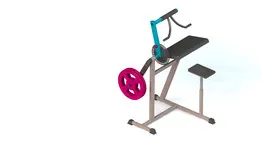 body-solid biceps/triceps machine