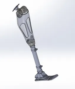 Prosthetic Leg