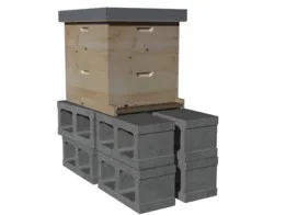 10 FRAME HIVE