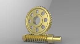 Worm and worm gear