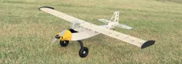 Bird Dog 2.0 RC Model Plane
