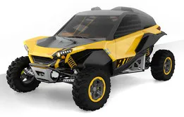 buggy / side by side B-TOAD