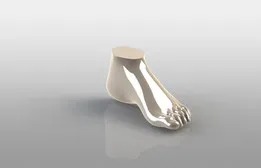Human foot