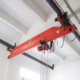 Suspension crane