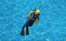 Diver