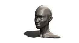SCALED HEAD