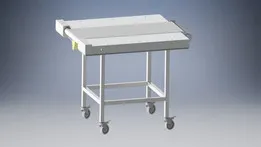 Transfer Conveyor Belt