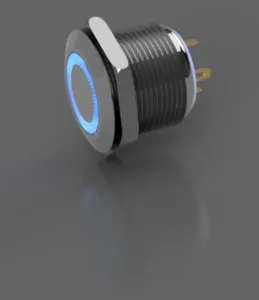 LED color push button