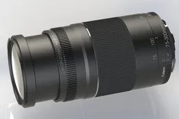 Canon 75-300 Lens