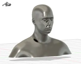 Generic human head and body (STEP)