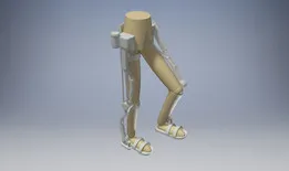 Exoskeleton