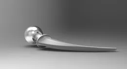Hip Replacement Prosthesis