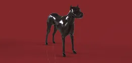 Dog For IVO ALBERTI
