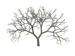 3D shrub
