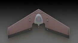 RC Model Plane - Flying Wing