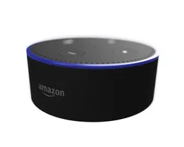 Amazon Echo Dot v2