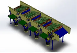 Sorting machine ( 50 , 60 , 70 , 80 mm )